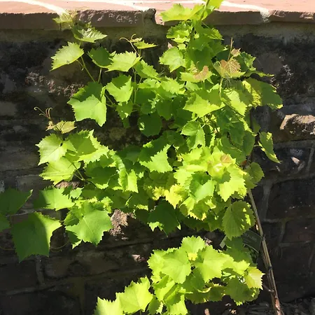 Kleine Milchbar Barrierefrei In Den Bergen Auf Dem Hof Grindelborn Apartment Murlenbach
