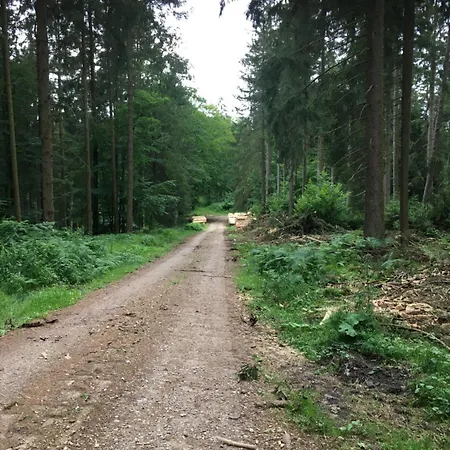 Kleine Milchbar Barrierefrei In Den Bergen Auf Dem Hof Grindelborn * Murlenbach