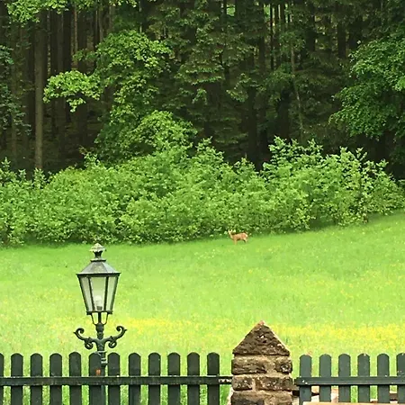 Kleine Milchbar Barrierefrei In Den Bergen Auf Dem Hof Grindelborn Apartment *