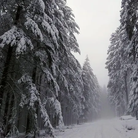 Kleine Milchbar Barrierefrei In Den Bergen Auf Dem Hof Grindelborn