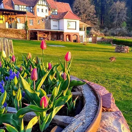 Kleine Milchbar Barrierefrei In Den Bergen Auf Dem Hof Grindelborn דירה Mürlenbach