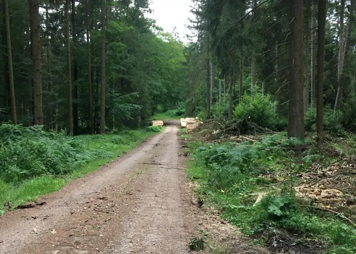 Kleine Milchbar Barrierefrei In Den Bergen Auf Dem Hof Grindelborn * Mürlenbach