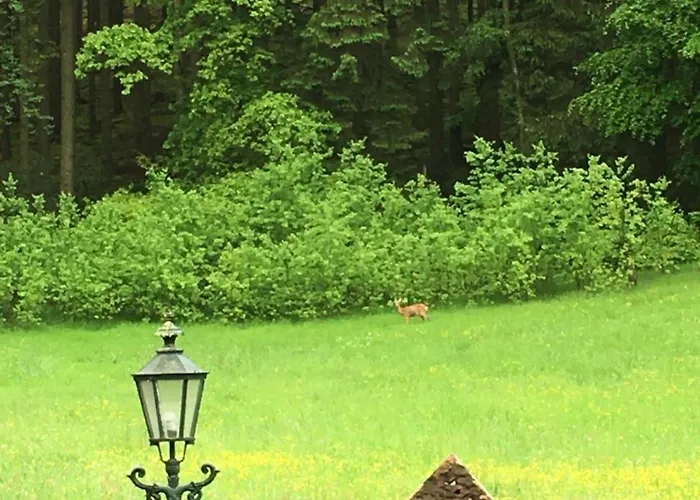 Kleine Milchbar Barrierefrei In Den Bergen Auf Dem Hof Grindelborn 아파트 *