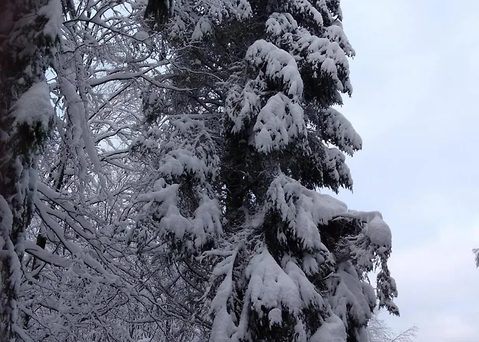 Kleine Milchbar Barrierefrei In Den Bergen Auf Dem Hof Grindelborn *