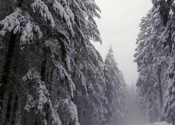 Kleine Milchbar Barrierefrei In Den Bergen Auf Dem Hof Grindelborn