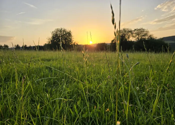 Kleine Milchbar Barrierefrei In Den Bergen Auf Dem Hof Grindelborn 公寓 *
