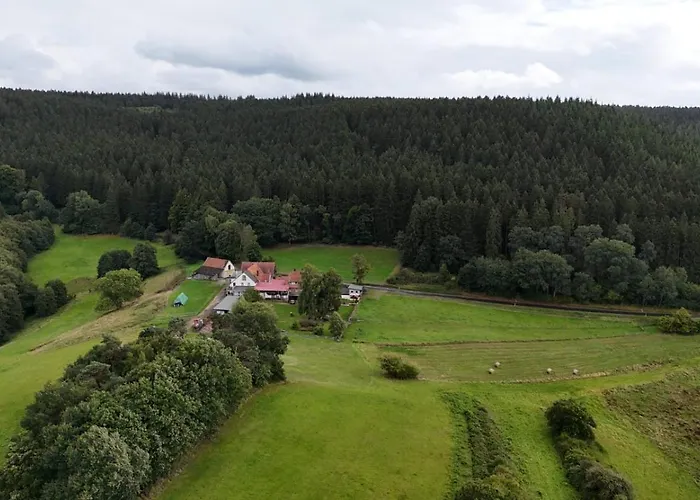 公寓 Kleine Milchbar Barrierefrei In Den Bergen Auf Dem Hof Grindelborn Mürlenbach