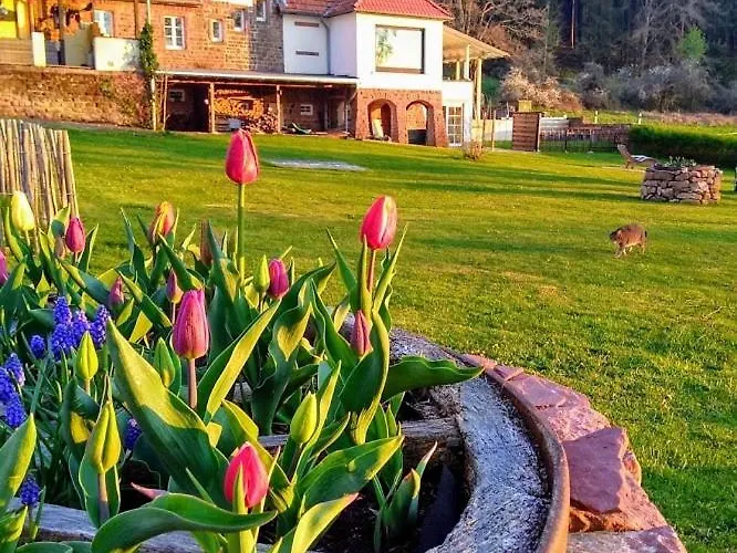 Kleine Milchbar Barrierefrei In Den Bergen Auf Dem Hof Grindelborn 公寓 Mürlenbach