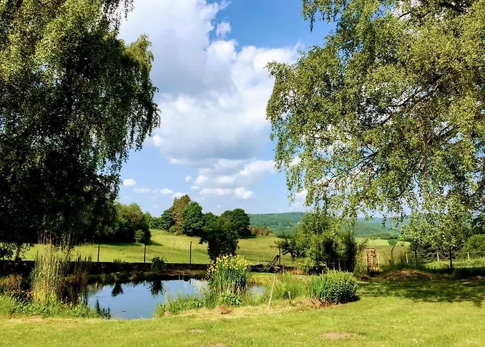 公寓 Kleine Milchbar Barrierefrei In Den Bergen Auf Dem Hof Grindelborn Mürlenbach